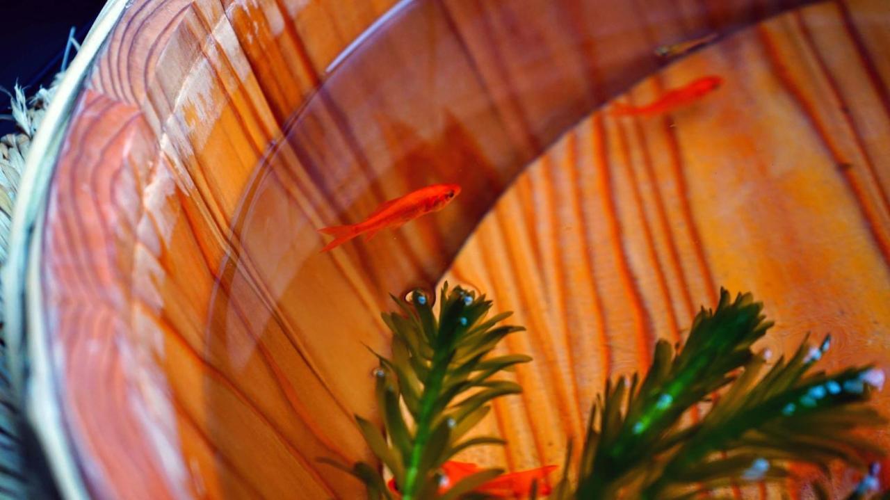 Kyoto Classical House -Murasakian - Buitenkant foto
